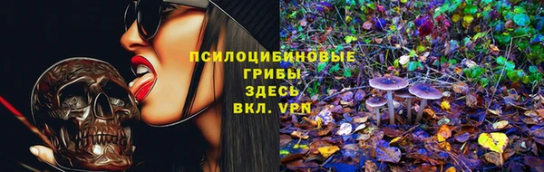 стаф Абдулино